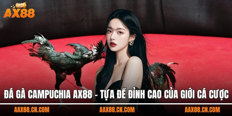 Đá gà campuchia AX88