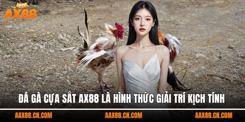 Đá gà cựa sắt AX88 là hình thức giải trí kịch tính luật chơi dễ hiểu