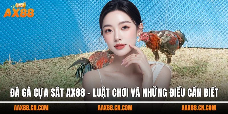 Luật chơi đá gà cựa sắt dễ hiểu với tỷ lệ đổi thưởng rõ ràng