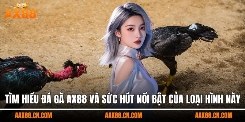 Tìm hiểu đá gà AX88 và sức hút nổi bật của loại hình này