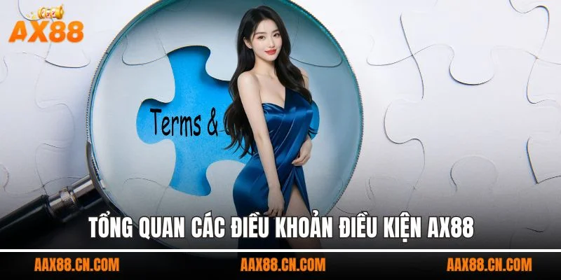 Tổng quan các điều khoản điều kiện AX88